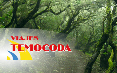Excursiones