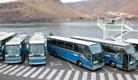 Autobus